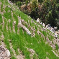 艺博生态 绿化团粒喷播 矿山边坡植被修复 种草喷浆