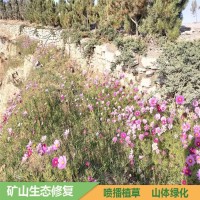 艺博 边坡矿山 山体复绿 多种植物草种 裸岩植被恢复