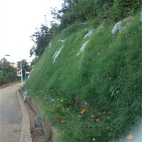 边坡绿化工程 艺博生态 液压喷播山体河道植被修复
