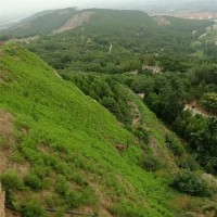 艺博 矿山治理修复 喷播草籽植草 恢复生态系统