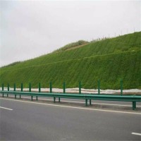 边坡防护绿化 艺博生态 三维植被网 喷浆挂网矿山复绿