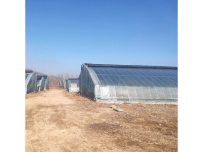 连栋薄膜温室 现代农业 提高土地利用率 连栋温室图1