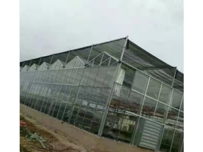 连栋薄膜温室承建 无土栽培 90%以上的透光图1