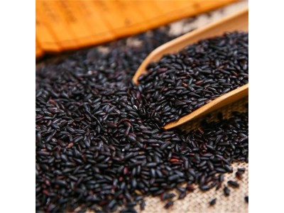 多种规格可定制 黑米提取物 花色苷 黑米花青素 25%图1