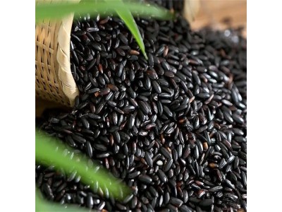 康友生物 遮光保存 黑米提取物 花青素花色苷 25%图1