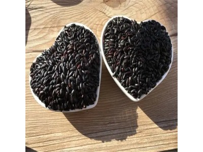 黑米花青素 黑豆皮提取物 喷雾干燥 紫红色粉末图1