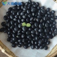 五谷杂粮代餐粉 黑豆纯豆浆粉早代餐 即食冲饮