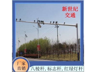 道路测速 6.5米监控杆 新世纪交通设施 十年质保图1