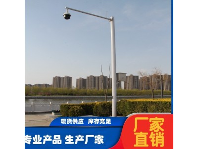 新世纪交通 公园小区4米监控立杆 信号监控杆图1
