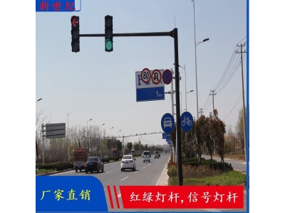 新世纪监控杆 标志杆 专业生20年 产品质量有保证图1