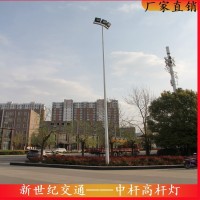 供应15米高杆灯 各种高度广场路灯杆支持定制