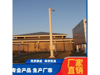 供应电子监控 杆 小区监控杆 交通八角监 控杆加工 新世纪图1