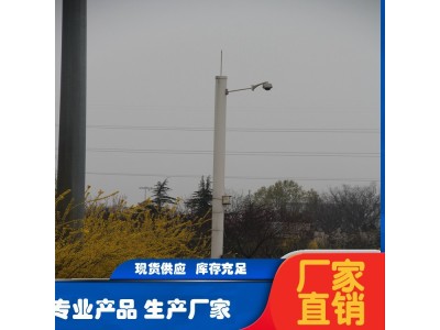 新世纪 道路口电子监控杆 户外园林小区公园监控立杆定制图1