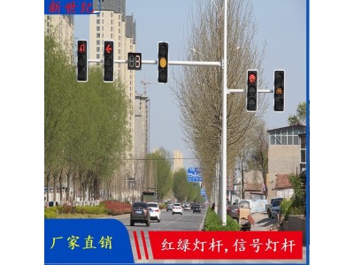 新世纪 生产销售信号灯杆 道路监控杆八棱监控图1