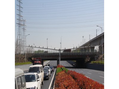 新世纪单悬臂热镀锌路标杆 八棱监控杆图1
