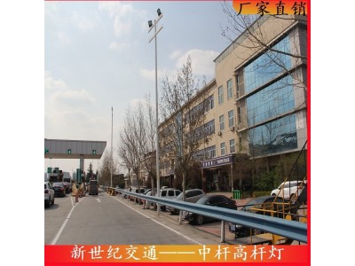 中杆灯高杆灯定制 6米8米12米路灯小区广场道路照明路 灯图1