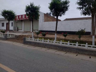 聊城农村粉白工程 汽车墙体广告 动物园墙体绘画图1