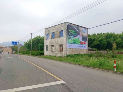 陇南手写墙体广告 陇南墙体标语聚焦县乡市场图1