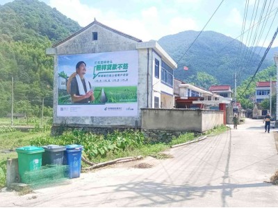 湖南永州东安墙体涂鸭广告 墙体广告喷绘给你效果图1