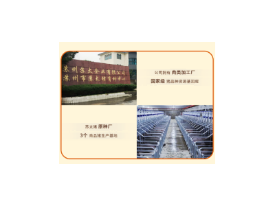 苏太肉兴乡网络苏州太湖本土黑猪肉送礼佳品精选美食套餐三图4