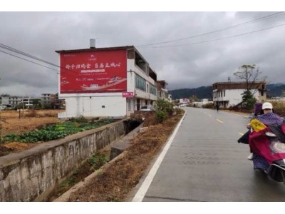 深圳福田区墙体广告 茉莉花茶壁墙喷绘广告墙体喷字广告图1