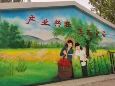 浙江舟山龙晨管业墙体喷绘广告供应商 3D立体壁画图1