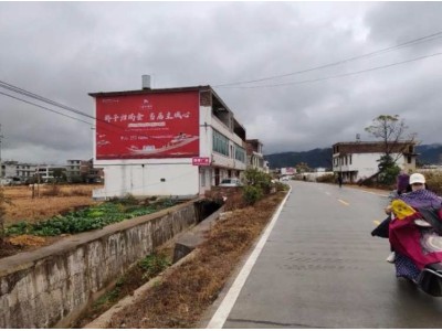 江门新会区墙体广告 瓷砖泥瓦楼体广告牌墙贴广告图1