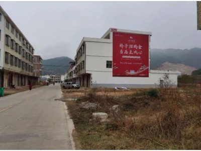 阳江阳西县墙体广告户外喷绘广告墙体手绘 成本低廉图1