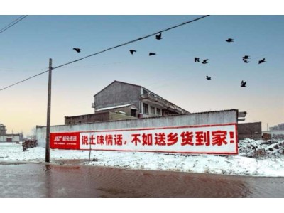 广东罗湖区墙体广告,酱油墙体挂画广告,家用电器广告喷绘图1