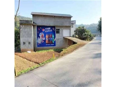黔东墙体广告黔东剑河外墙墙体广告服务金店刷墙广告图1