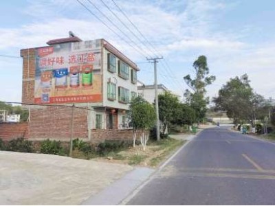 广东惠州古典墙体绘画 为群众发言图1